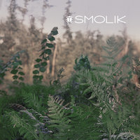 L.Mine - Smolik