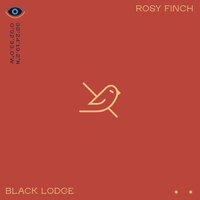 Rosy Finch