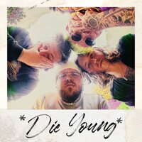 Die Young - Fault Lines