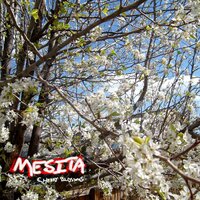 Foreign Films - Mesita