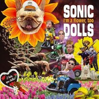 Happy days - Sonic Dolls