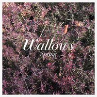 Let the Sun In - Wallows