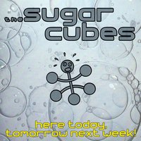 Nail - The Sugarcubes