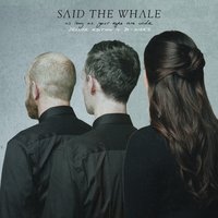 Realize Real Eyes - Said The Whale