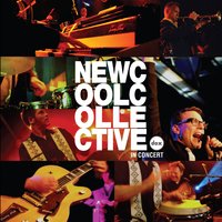 Ms. Wilson - New Cool Collective