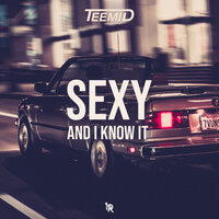 Sexy and I Know It - Teemid