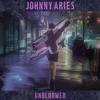 This Grave Is My Bed Tonight - Johnny Aries