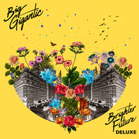 The Little Things - Big Gigantic, Angela McCluskey