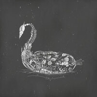 Black Swan - aeseaes, Pablo Nouvelle