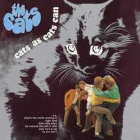 Vive l'amour - The Cats