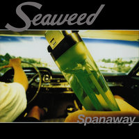 Start With - Seaweed