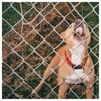 Small Victories - Knocked Loose