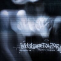 This Summer's Sorrow Ⅱ: Growing Old in the Waiting Place - Wristmeetrazor