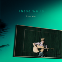 These Walls - Sam Kim