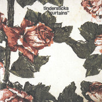 Dick's Slow Song - Tindersticks