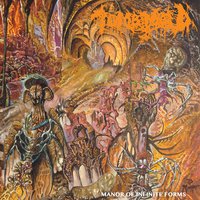 Blood Mirror - Tomb Mold