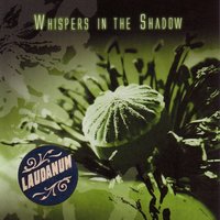 Whispers In The Shadow