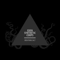 Commander Cruel - Eden Synthetic Corps