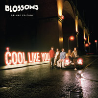 There's A Reason Why (I Never Returned Your Calls) - Blossoms