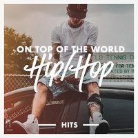 We Own It - The Hip Hop Nation
