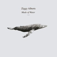 Simple Things - Ziggy Alberts