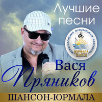 Гуляй пока гуляется - Вася Пряников