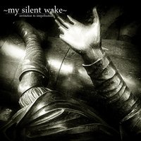 Volta - My Silent Wake