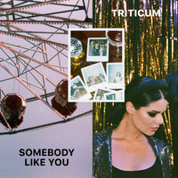 Somebody Like You - TRITICUM