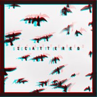 Scattered - Xavier Dunn, Feki