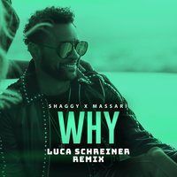 Why - Shaggy, Massari, Luca Schreiner