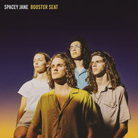 Booster Seat - Spacey Jane
