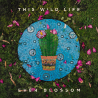 Through All The Gloom - This Wild Life