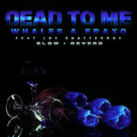 Dead To Me - Whales, Fraxo, Lox Chatterbox