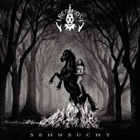 A Prayer For Your Heart - Lacrimosa