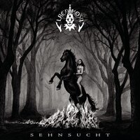 Die Taube - Lacrimosa