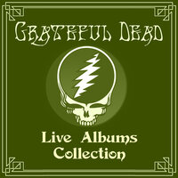Turn on Your Love Light [2001 Remaster} - Grateful Dead