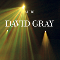 Alibi - David Gray