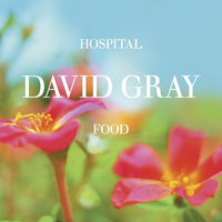 Hospital Food - David Gray
