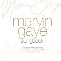 It's Madness - Marvin Gaye