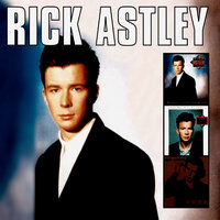 Never Knew Love - Rick Astley