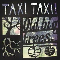 Old Big Trees - Taxi Taxi!