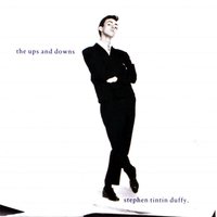 The World At Large Alone - Stephen Duffy
