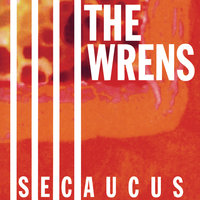 Counted On Sweetness - The Wrens