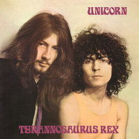 She Was Born To Be My Unicorn - T. Rex