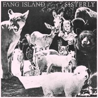 Sisterly - Fang Island