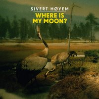 Autumn In Arcadia - Sivert Høyem