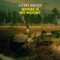 Where Is My Moon? - Sivert Høyem