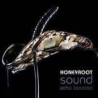 Love Will Tear Us Apart - Honeyroot