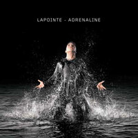 Ordinaire - Eric Lapointe