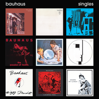 She's In Parties - Bauhaus